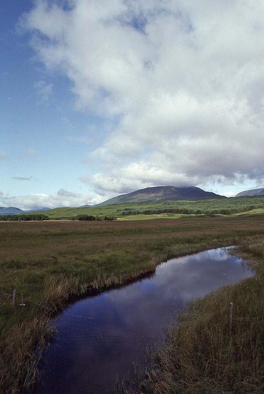 WT 3100 354-23 UK-3.jpg